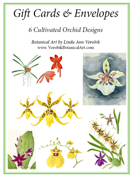 Gift cards by Vorobik: Cultivated Orchids